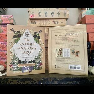 NEW The Antique Anatomy Tarot Cards Deck Divination Witchcraft